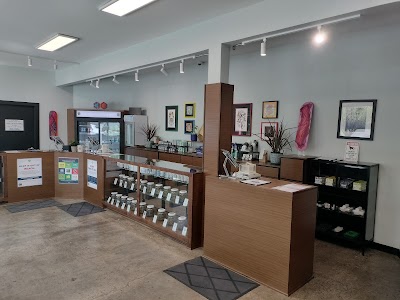 Tree House Collective - North