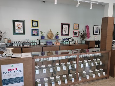 Tree House Collective - North