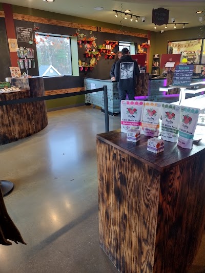 Tree House Craft Cannabis Dispensary Dracut