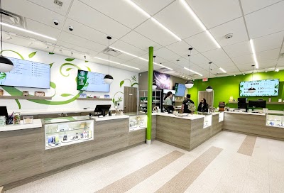 Tree Of Life Weed Dispensary Las Vegas