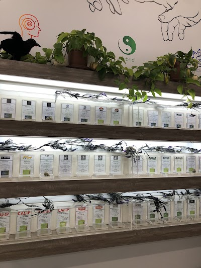Tree Of Life Weed Dispensary North Las Vegas