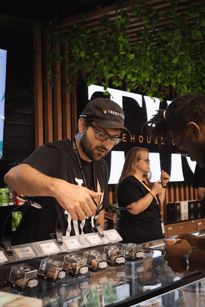 Treehouse Cannabis Dispensary & Weed Delivery - Rockland County