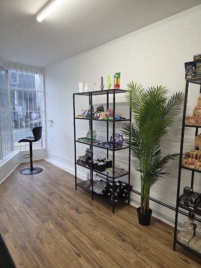 TreeHouse - Wikp'q Weju