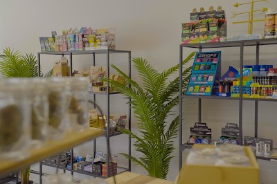 TreeHouse - Wikp'q Weju