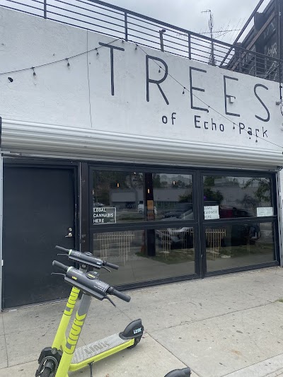 Trees Echo Park