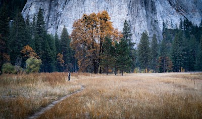 Tribal Nation Flower Company