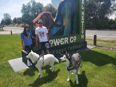 Tribal Nation Flower Company