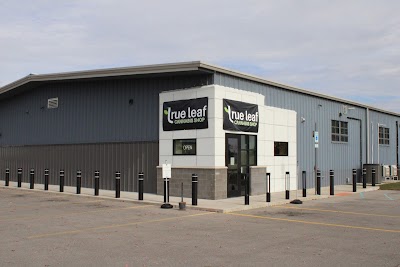 True Leaf Cannabis Shop