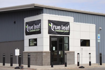 True Leaf Cannabis Shop