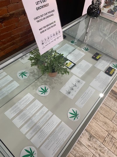 True North Cannabis Co - Hamilton Dispensary