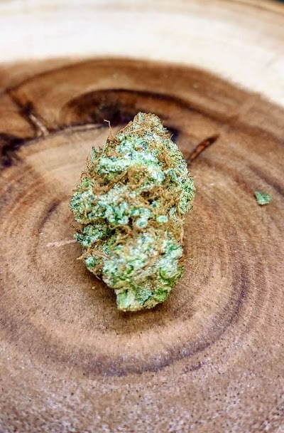 True North Dispensary