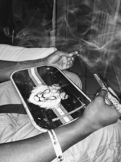 Trulieve Leesburg Dispensary