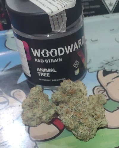 Trulieve Lorain Dispensary