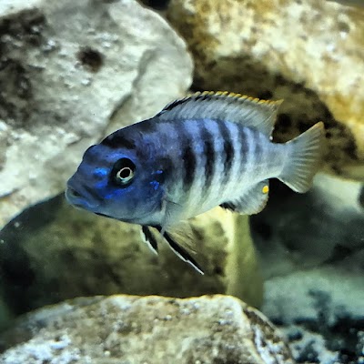 Trulieve Medical Marijuana Dispensary Philadelphia