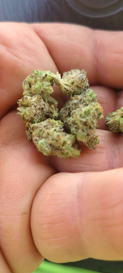 Trulieve Medical Marijuana Dispensary Reading