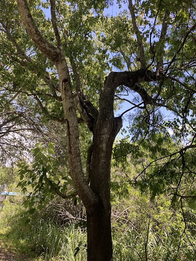 Trulieve Okeechobee Dispensary