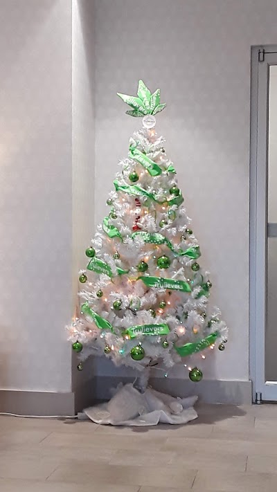 Trulieve Orlando South Dispensary