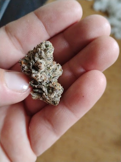 Trulieve Phoenix Dispensary Tatum