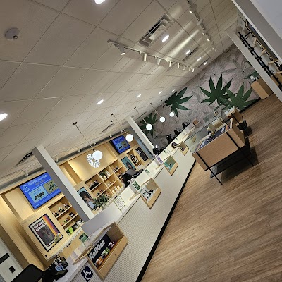 Trulieve Tampa Kennedy Dispensary