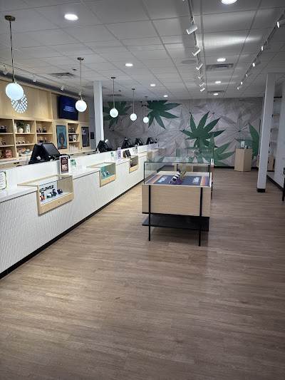 Trulieve Tampa Kennedy Dispensary