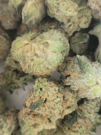 Trulieve Weston Dispensary