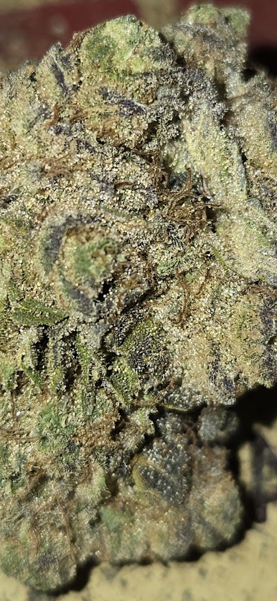 Trulieve Wilkes-Barre Dispensary