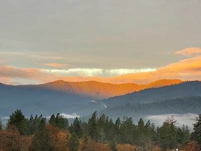 Tweedle D’s Florida