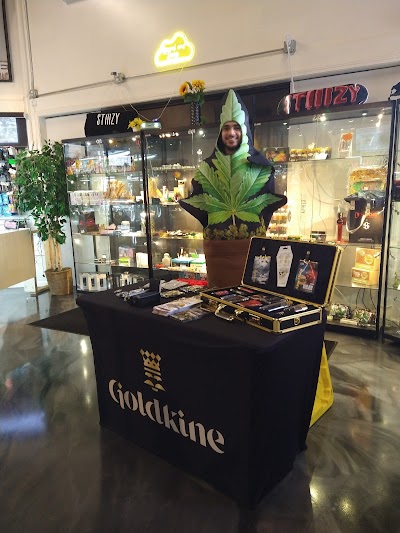 Twisted Bee Cannabis Dispensary