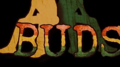 Two Buds Cannabis Dispensary New York Weed Delivery