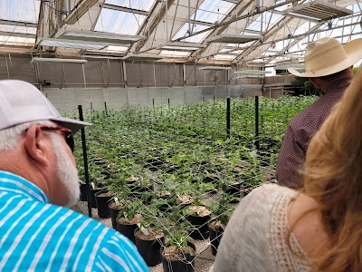 Ultra Health Dispensary Bernalillo