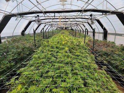 Ultra Health Dispensary Bernalillo