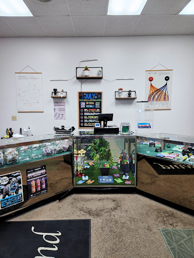 Unwind Delta 9 THC and CBD