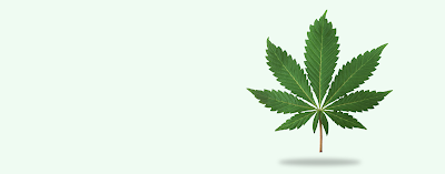 Up In Sky Cannabis & Tobacconist