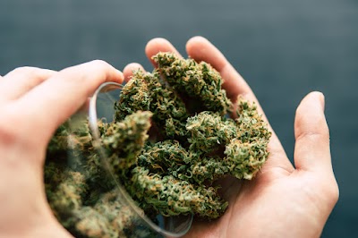 URB Cannabis Dispensary Vassar