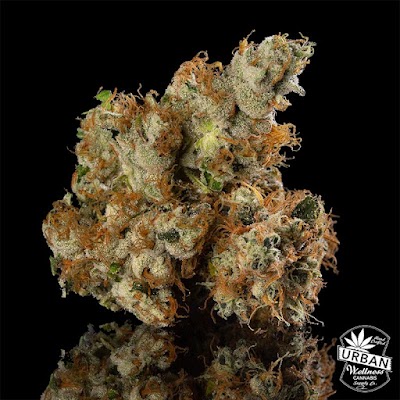 Urban Wellness Cannabis Dispensary - Montaño