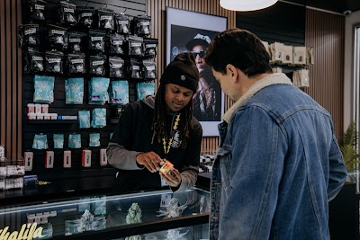 Urban Wellness Cannabis Dispensary - Sunland Park