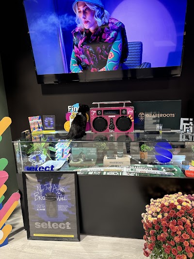 VedaLeaf - Cannabis Dispensary