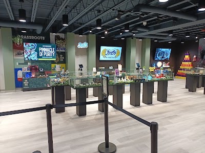 VedaLeaf - Cannabis Dispensary