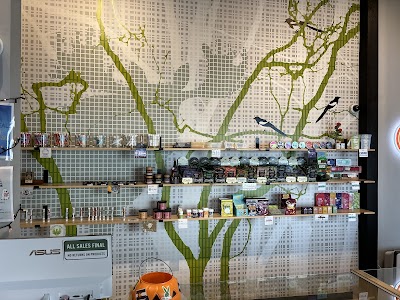 Verde Natural Cedaredge Dispensary