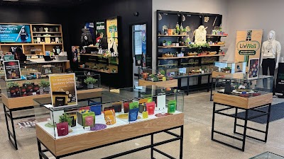 Verilife Dispensary
