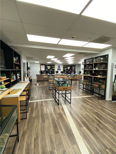 Verilife Dispensary