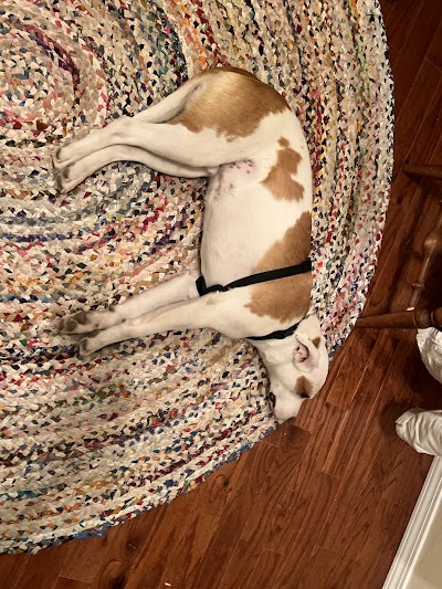 Verve Health Shop & Dispensary