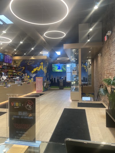 Vibe Ann Arbor