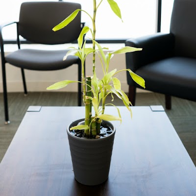 Vireo Health - White Plains