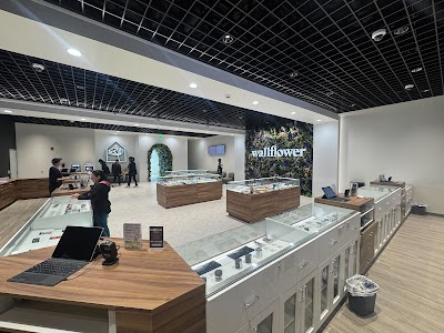 Wallflower Cannabis House Weed Dispensary Henderson