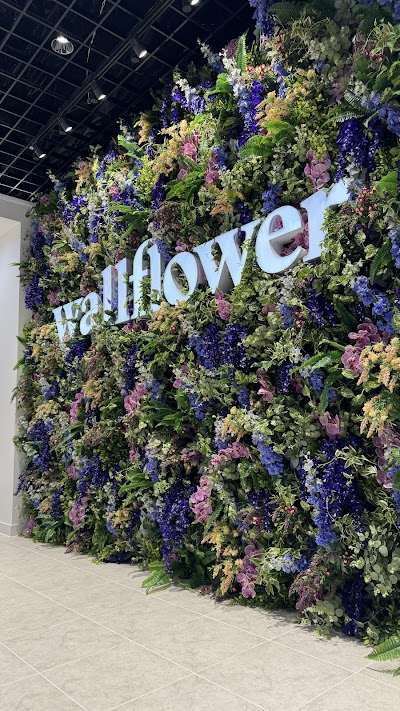 Wallflower Cannabis House Weed Dispensary Henderson