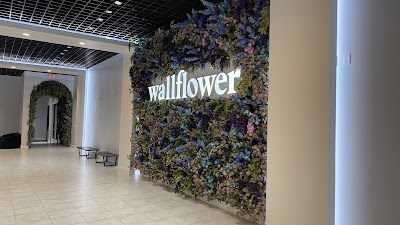 Wallflower Cannabis House Weed Dispensary Las Vegas