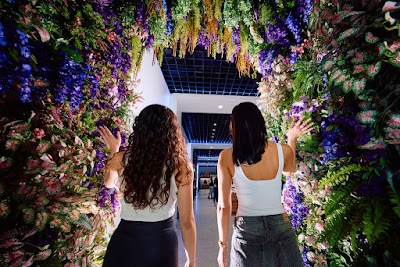 Wallflower Cannabis House Weed Dispensary Las Vegas