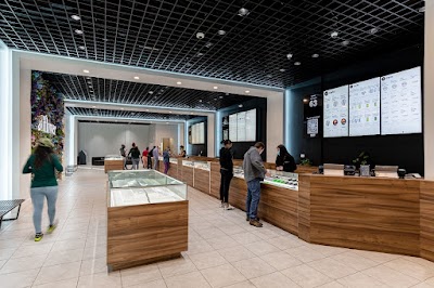 Wallflower Cannabis House Weed Dispensary Las Vegas