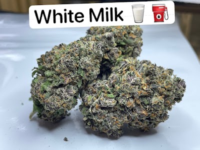 Warrior Buds Cannabis Dispensary